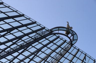 A view of the cockerel inside the Tottenham Hotspur Stadium
